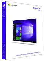 Windows профессиональный