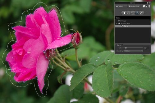 Corel AfterShot Pro - Изоляция участков фотографии для применения коррекции